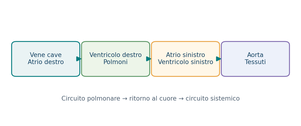 Doppia circolazione: circuito polmonare e sistemico