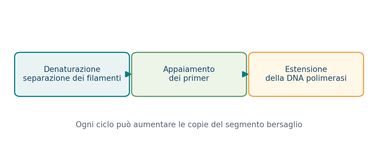 I tre passaggi ripetuti dell’amplificazione mediante PCR
