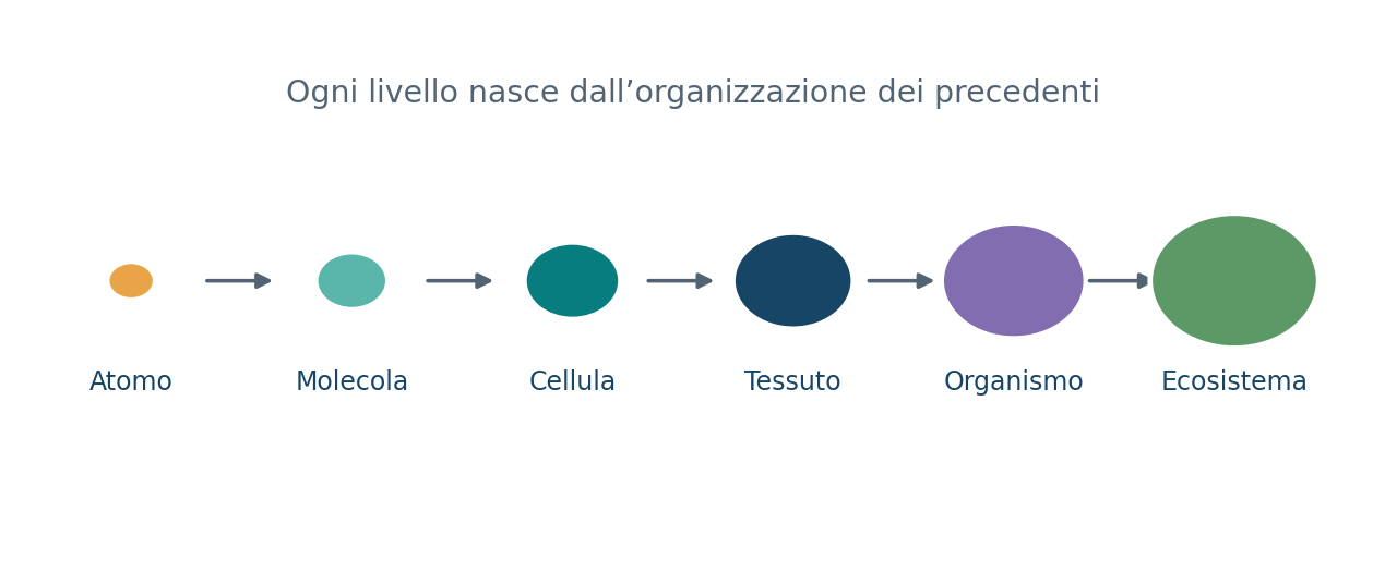 Dalla molecola alla biosfera: i livelli di organizzazione dei sistemi viventi