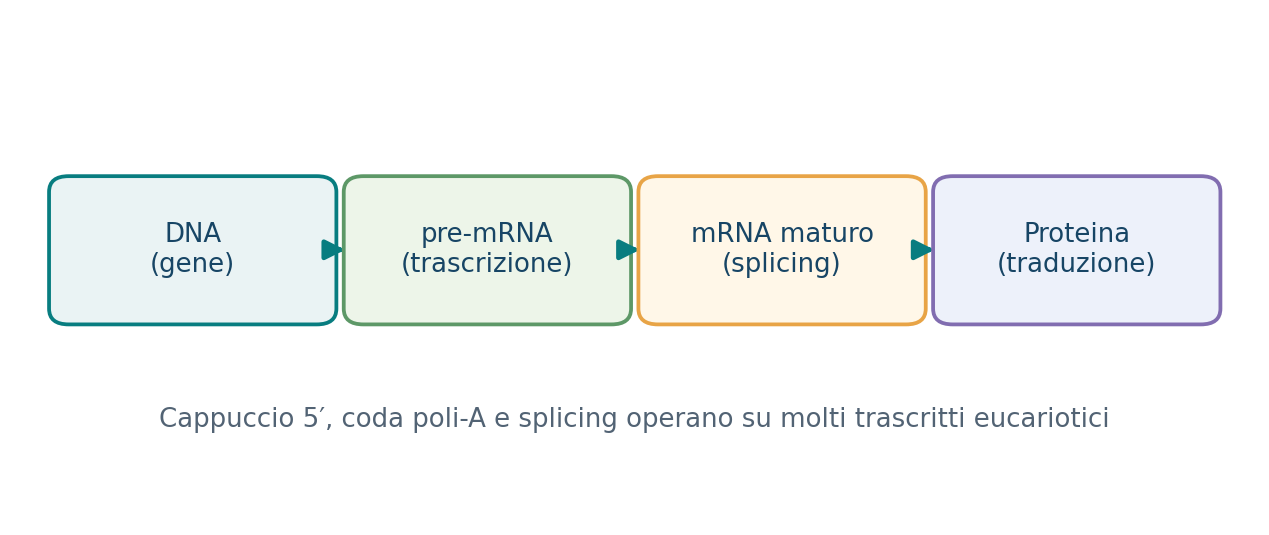 Dal DNA al pre-mRNA, all’mRNA maturo e alla proteina