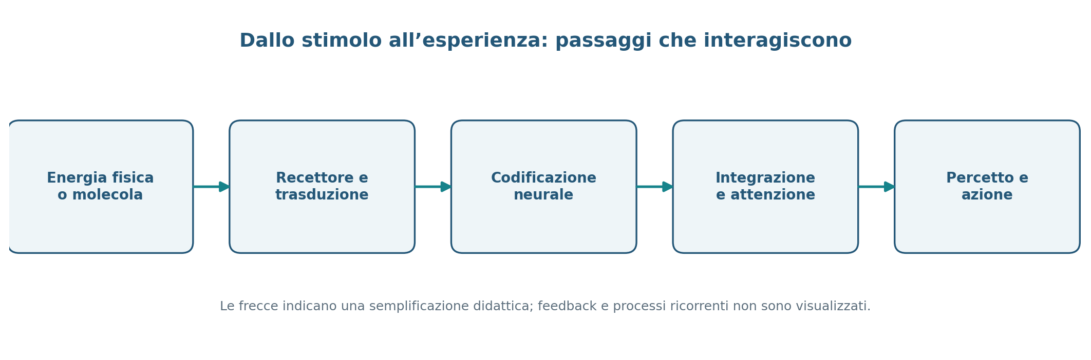 Figura 4.1 — Dallo stimolo fisico alla rappresentazione.