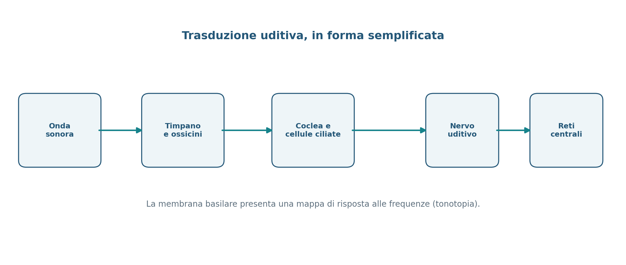 Figura 4.8 — Catena di trasduzione acustica.