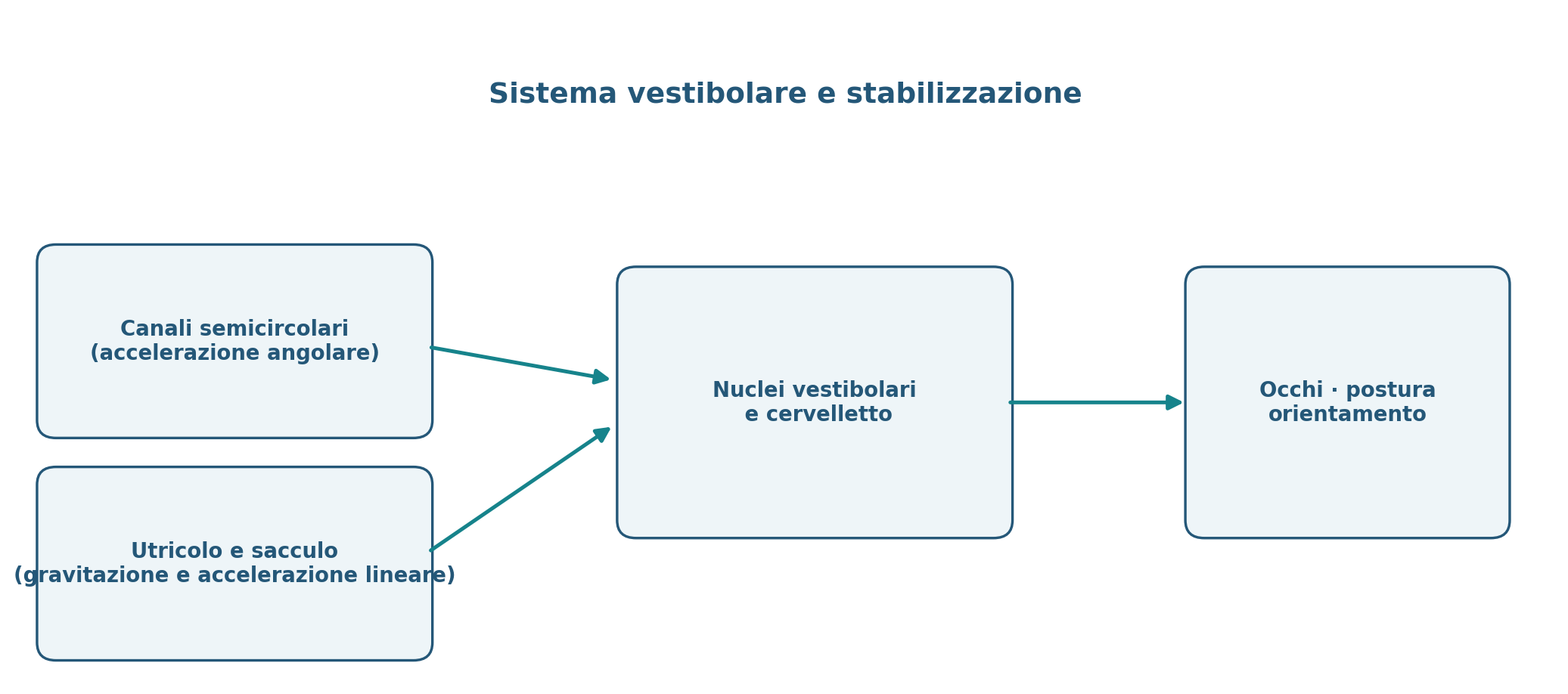 Figura 4.11 — Sistema vestibolare e controllo dell’equilibrio.
