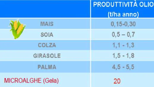 Una problematica tipica delle rinnovabili è proprio la produttività, l’occupazione di terreno per ottenere la stessa quantità d
