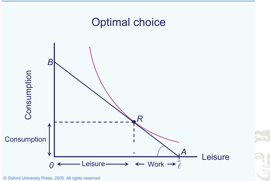 Optimal consumption, leisure and working time.
