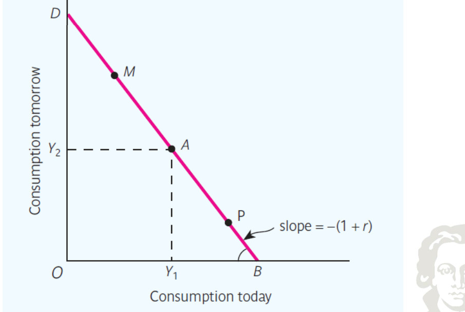 Intertemporal budget line with slope minus the gross interest factor.