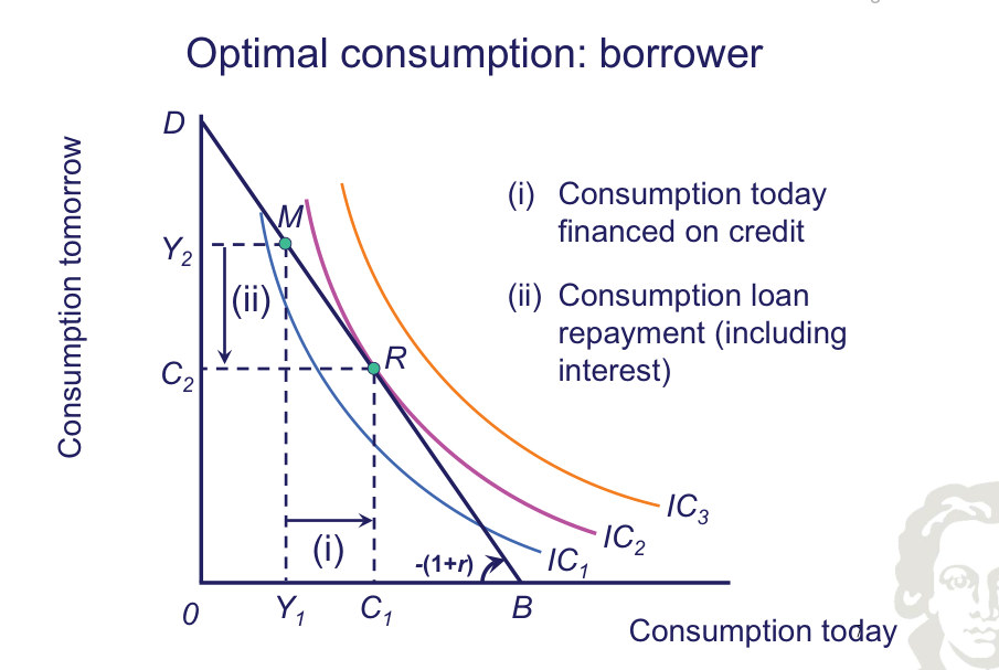 Borrower consumption allocation and future repayment.