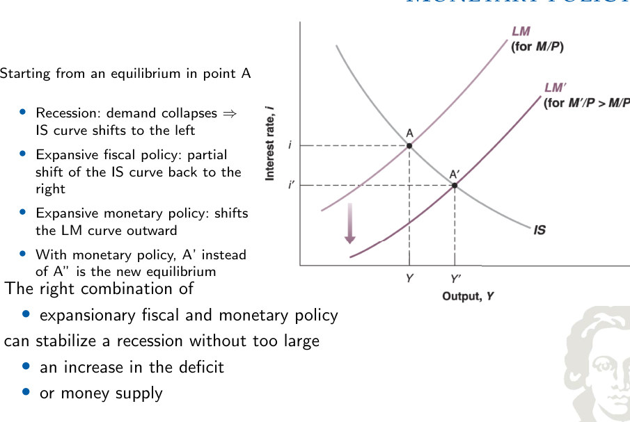 Fiscal and monetary responses to a decline in private demand.
