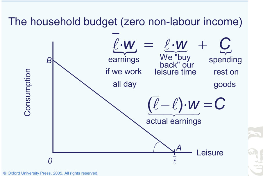 Household budget line linking consumption and leisure at a given real wage.